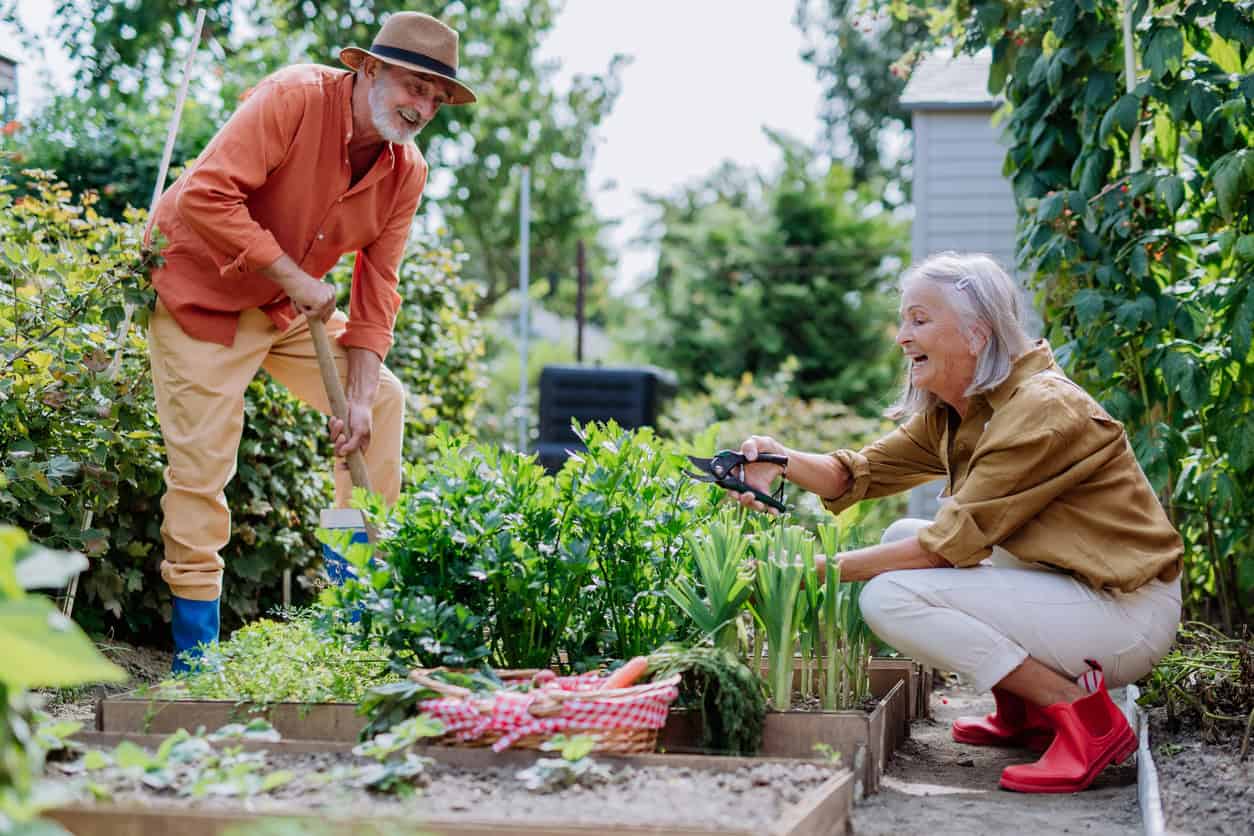 seniors enjoying the benefits of gardening